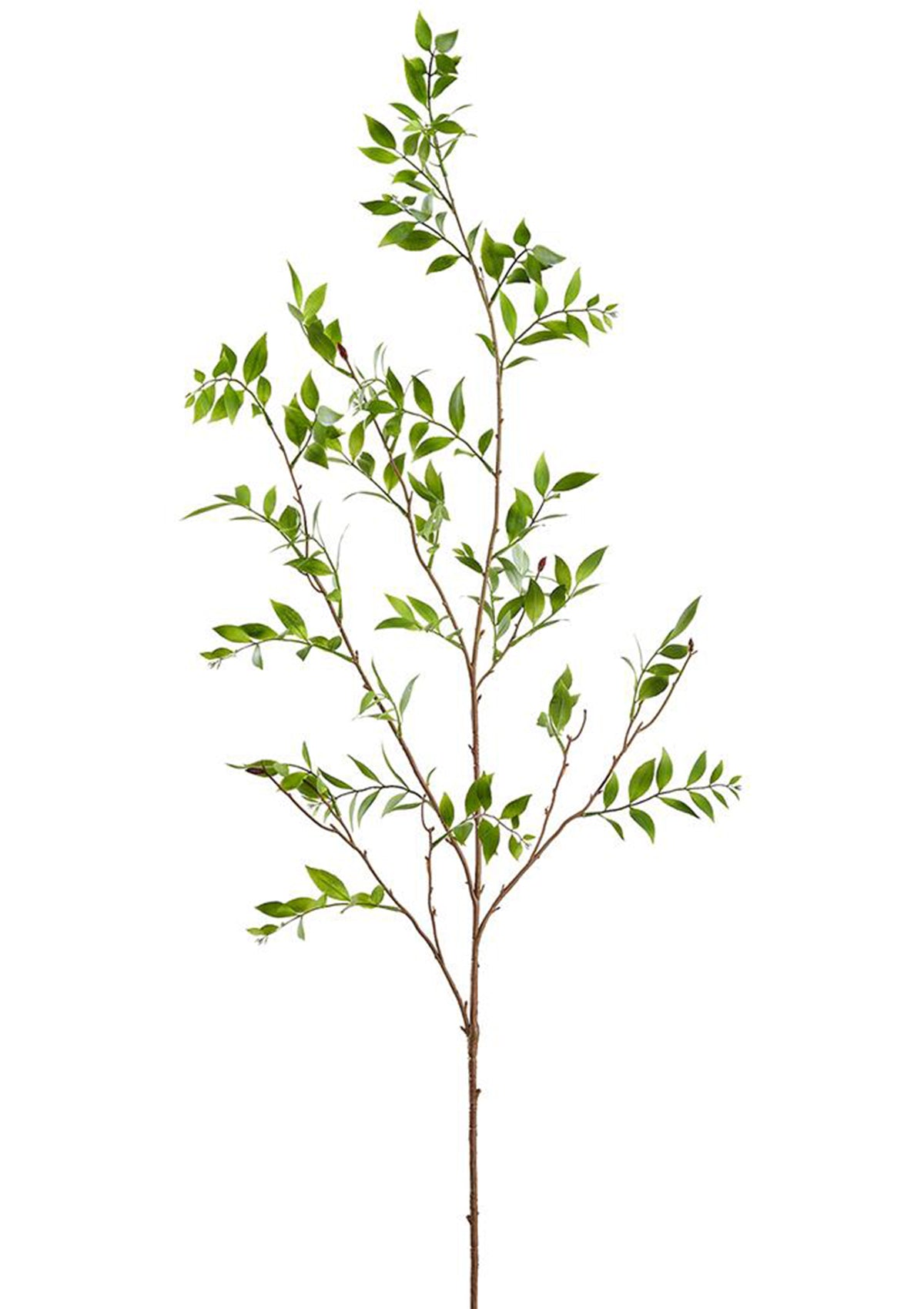 Artificial Boardleaf Podocarpus Leaf Branch