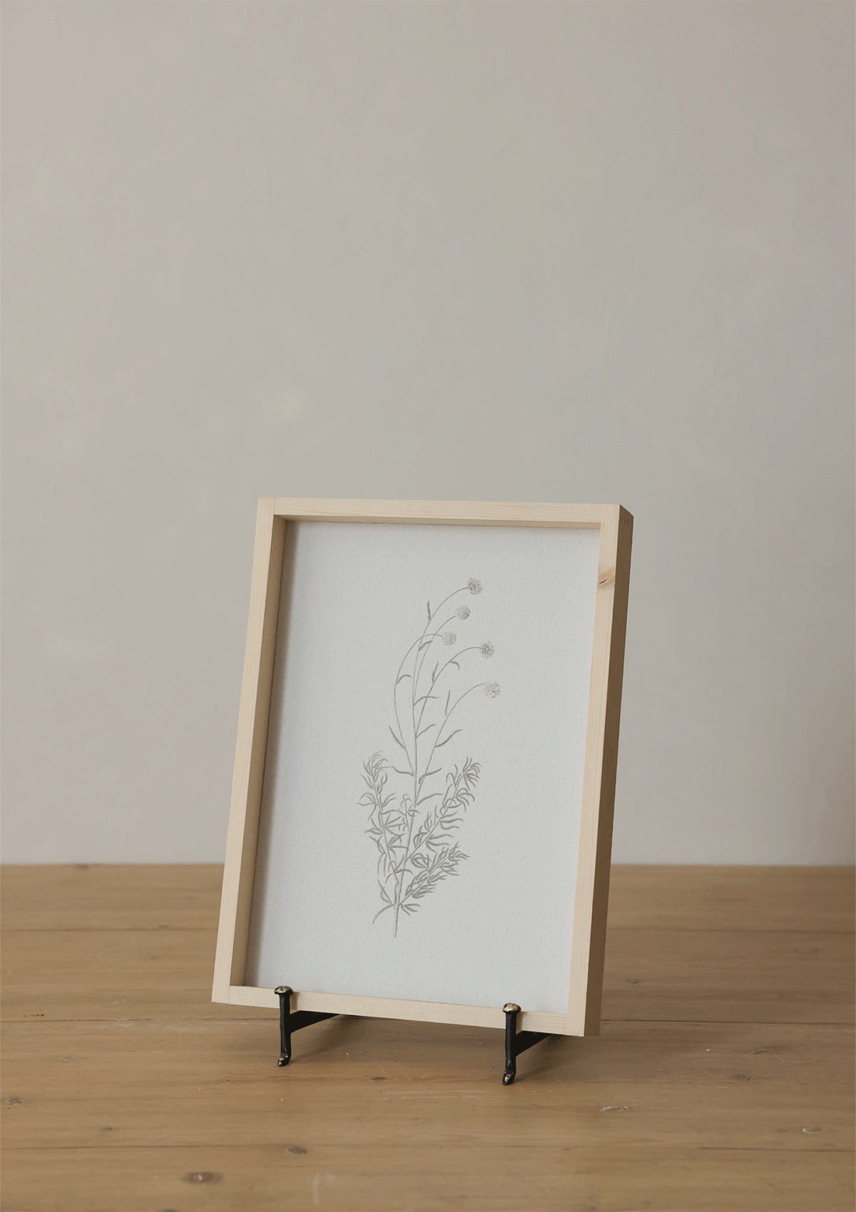 Botanical Flower Framed Print