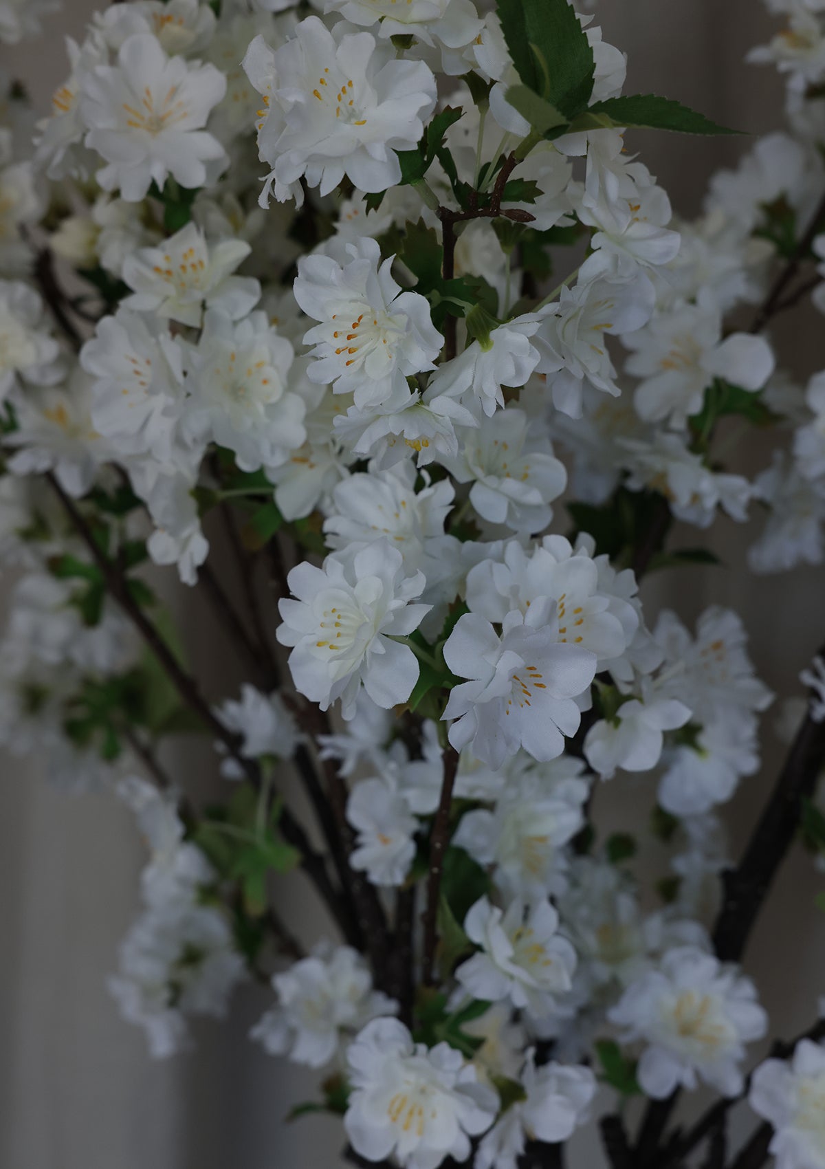 Cherry Blossom Spray