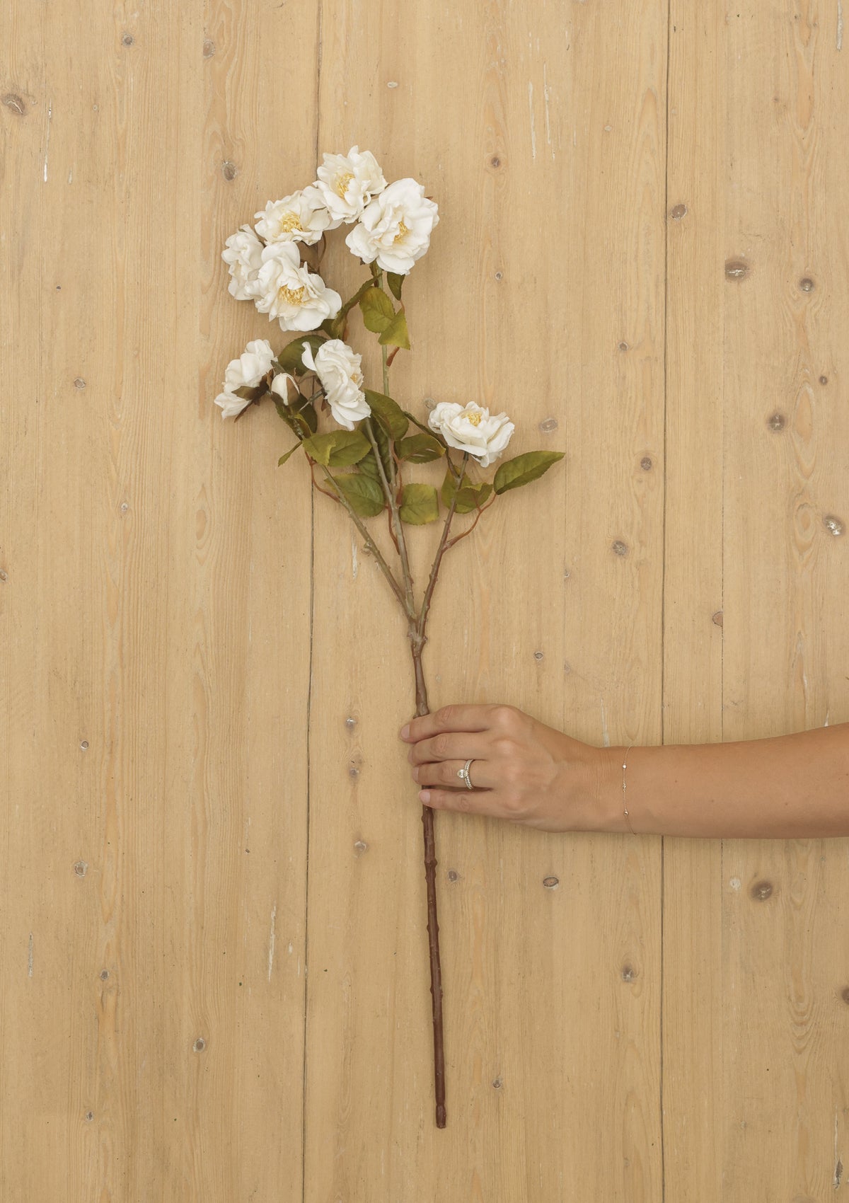 Cream Rose Spray