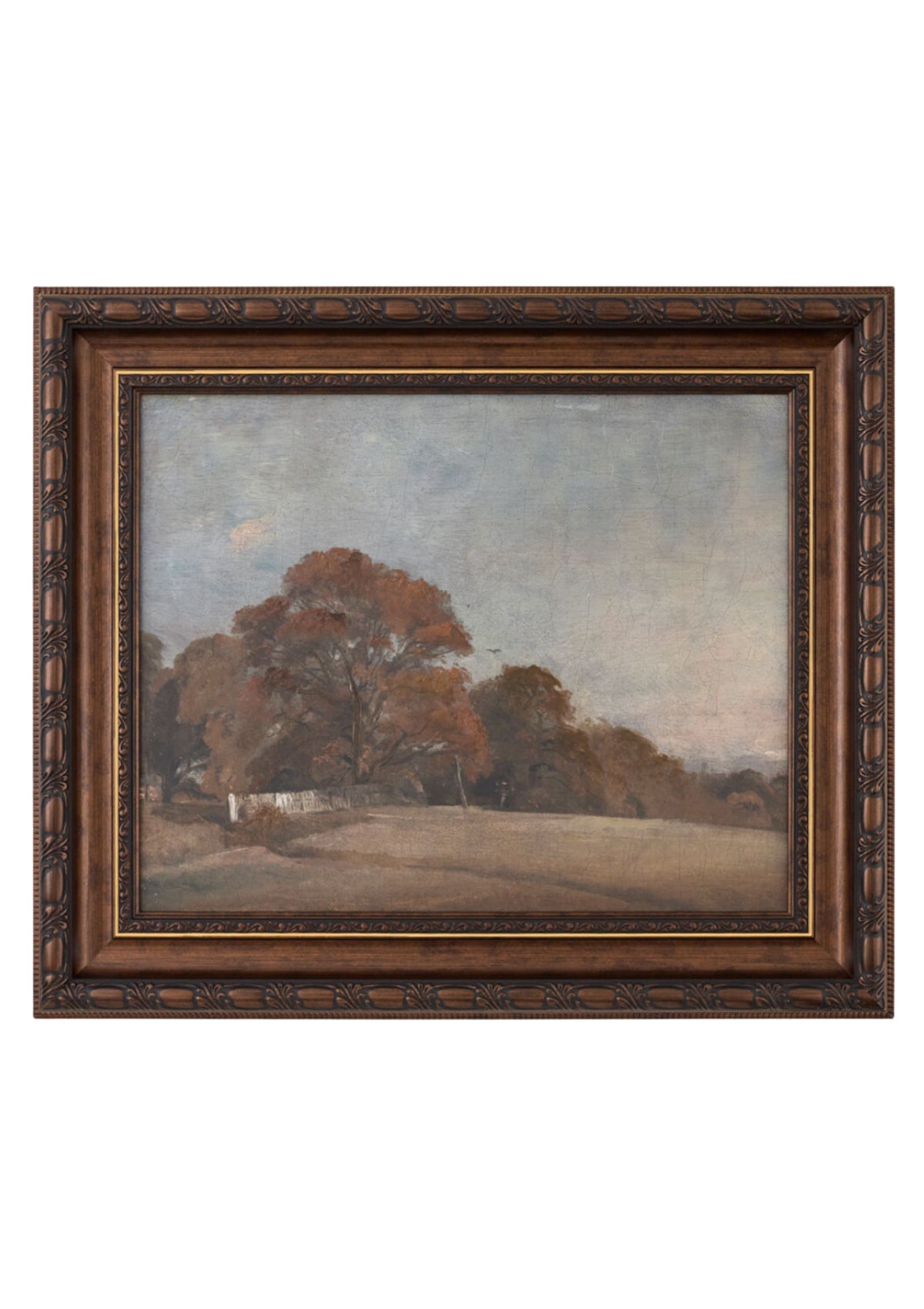 Erick Framed Print
