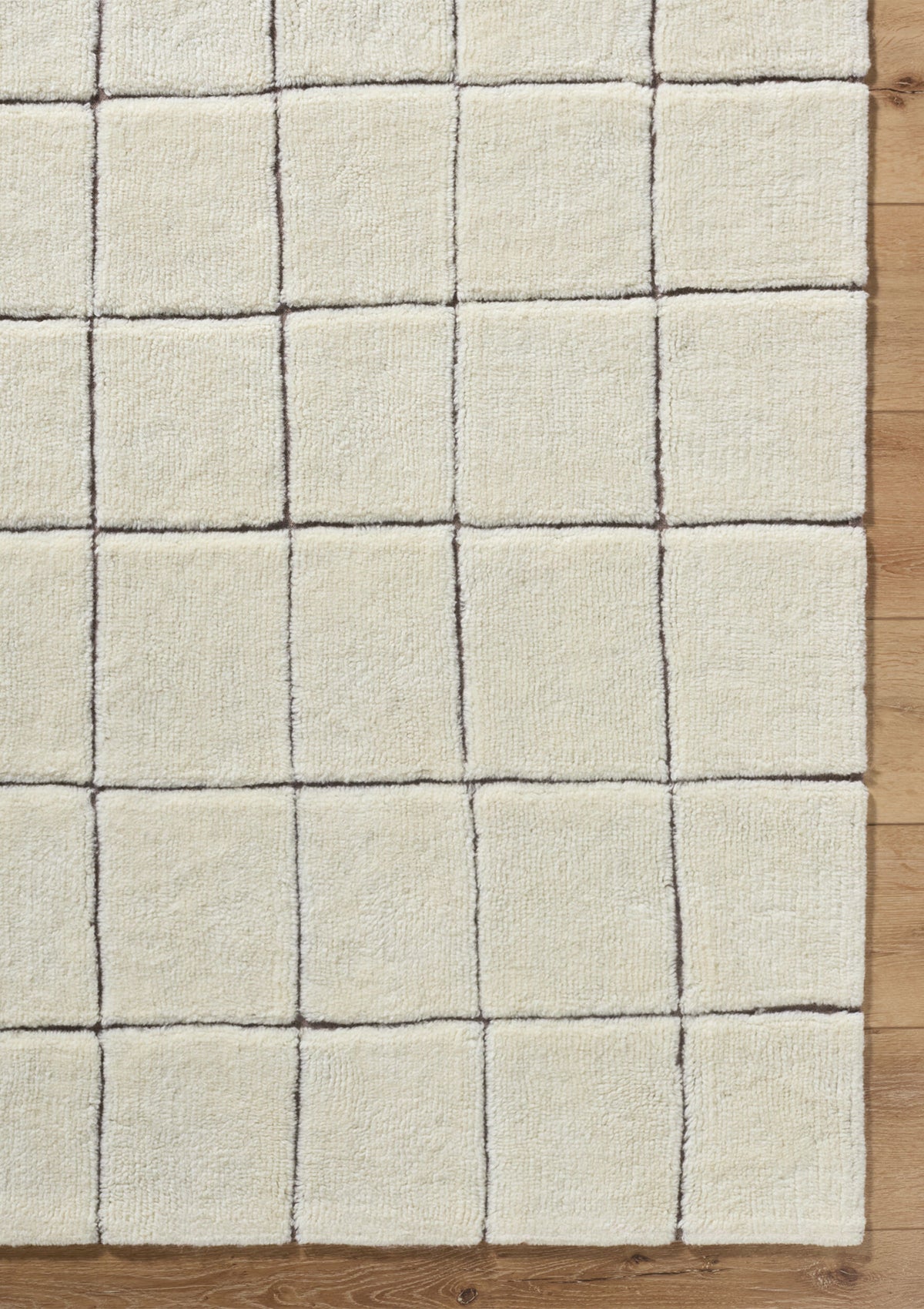 Hemsley Machine Washable Rug