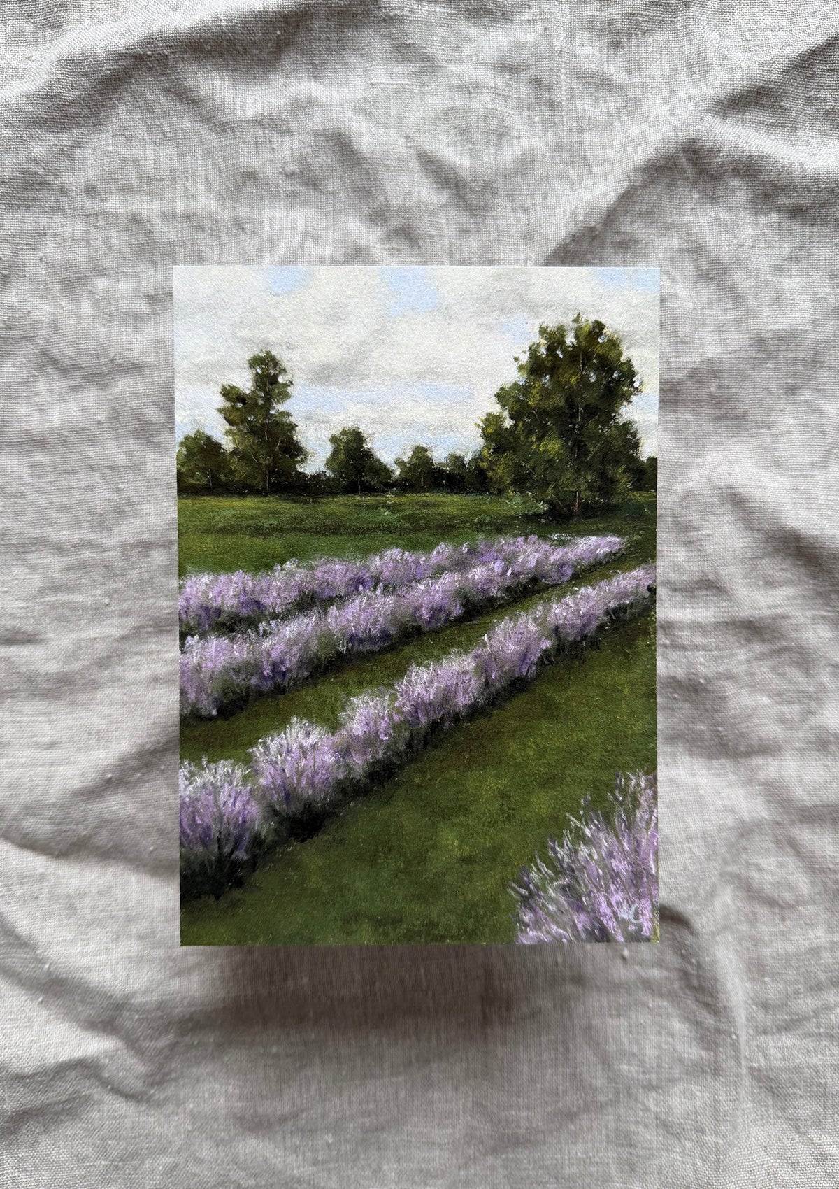 Lavender Fields Print