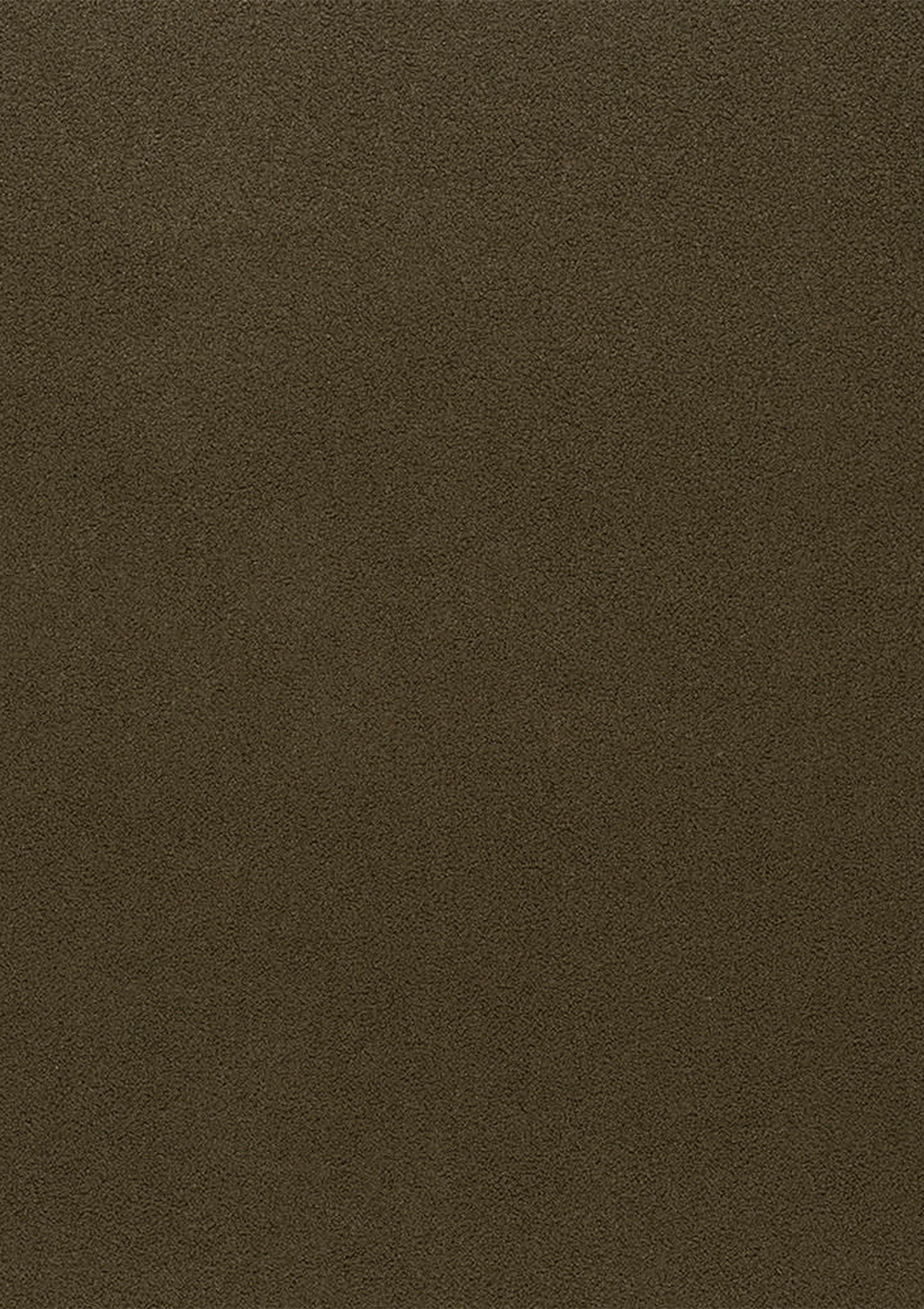 Moss Boucle Fabric