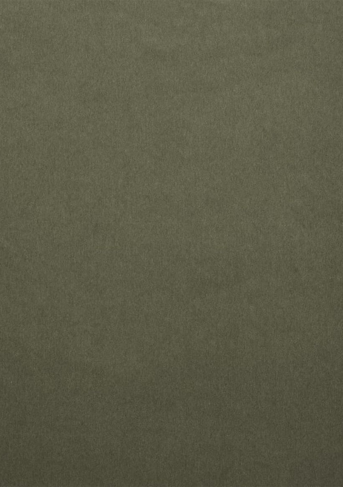 Muted Olive Velvet Fabric