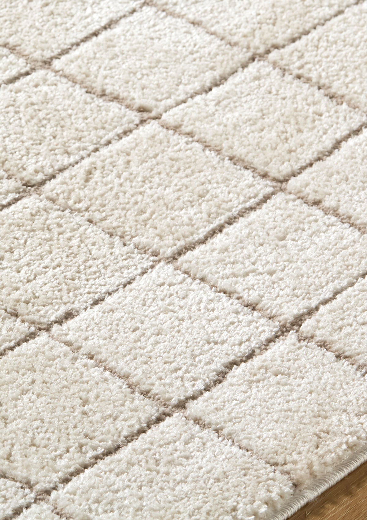 Nolyn Rug