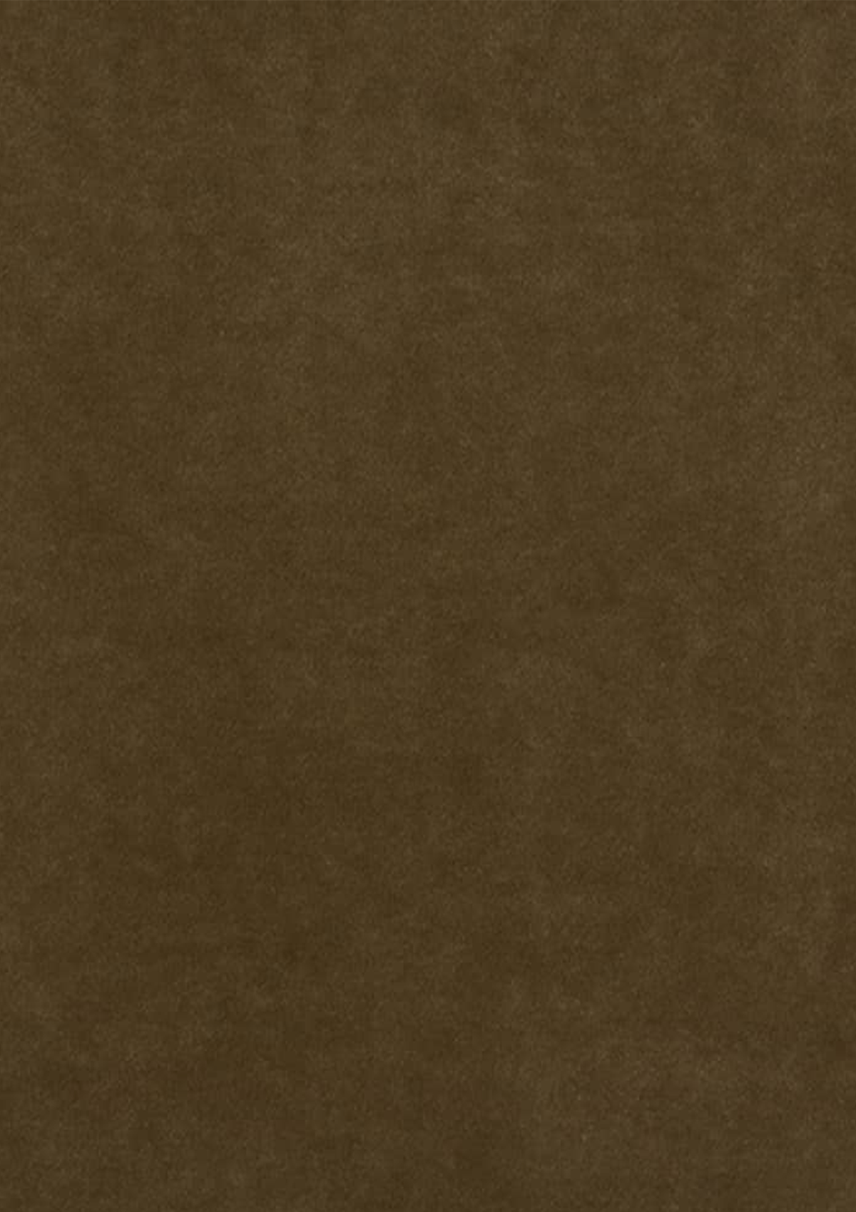 Olive Velvet Fabric