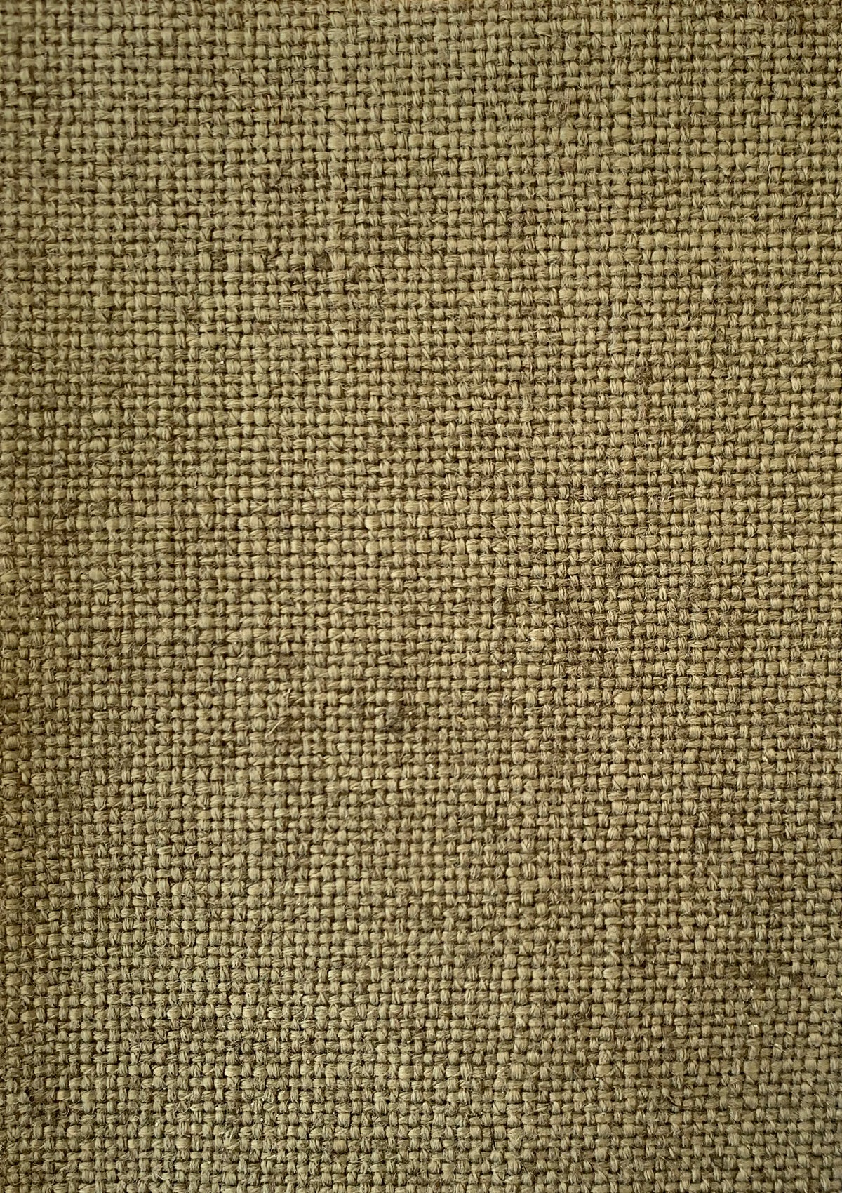 Olive Crypton Fabric