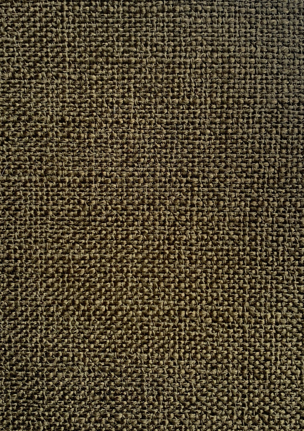 Olive Fabric