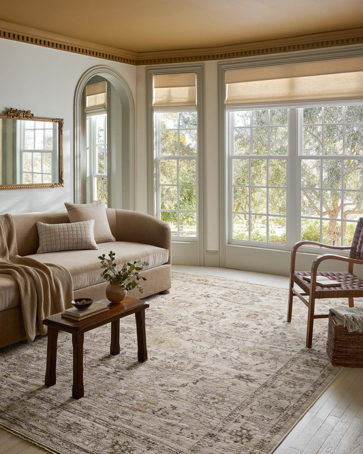 Pace Natural/Stone Rug – room scene