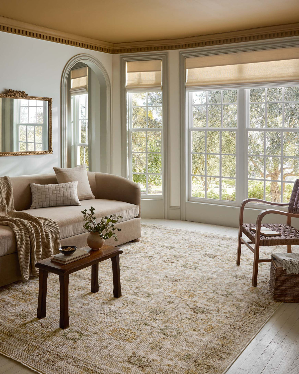 Pace Natural/Multi Rug – room scene