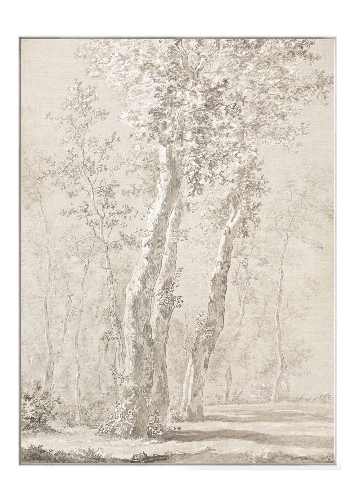 Quiet Light