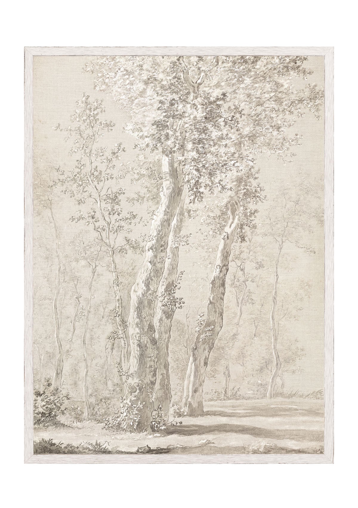Quiet Light