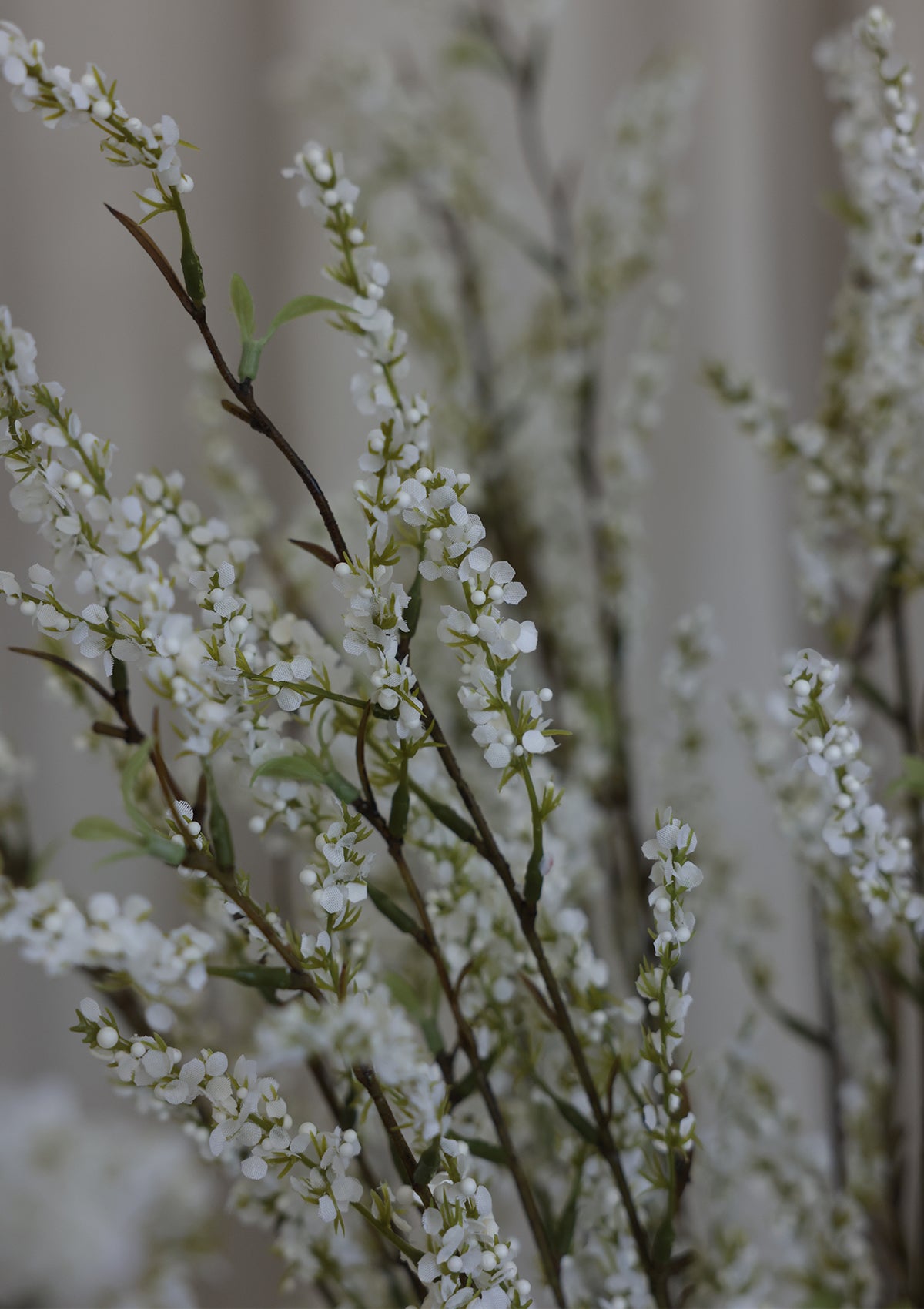 Spirea Spray