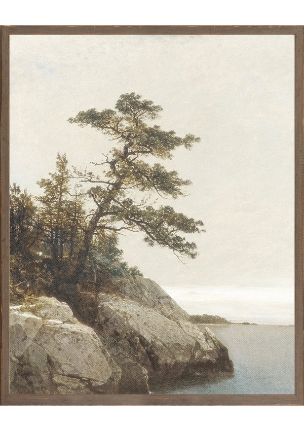 Vintage Northern Pine