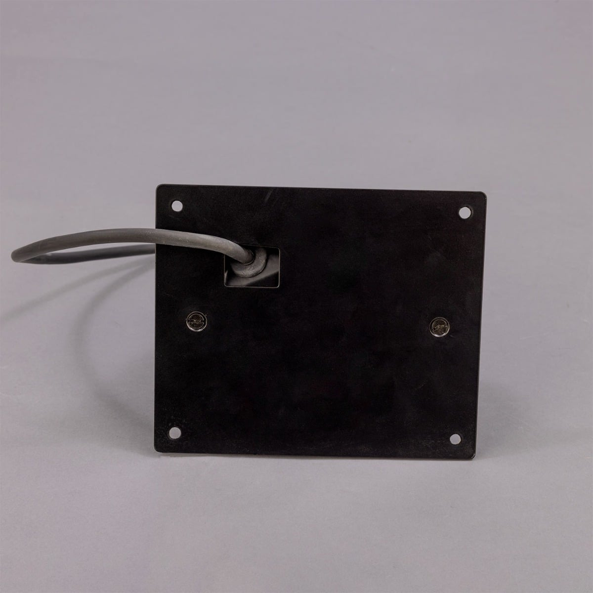 Wade Outdoor Brass Spotlight with Back Plate – Cable Detail