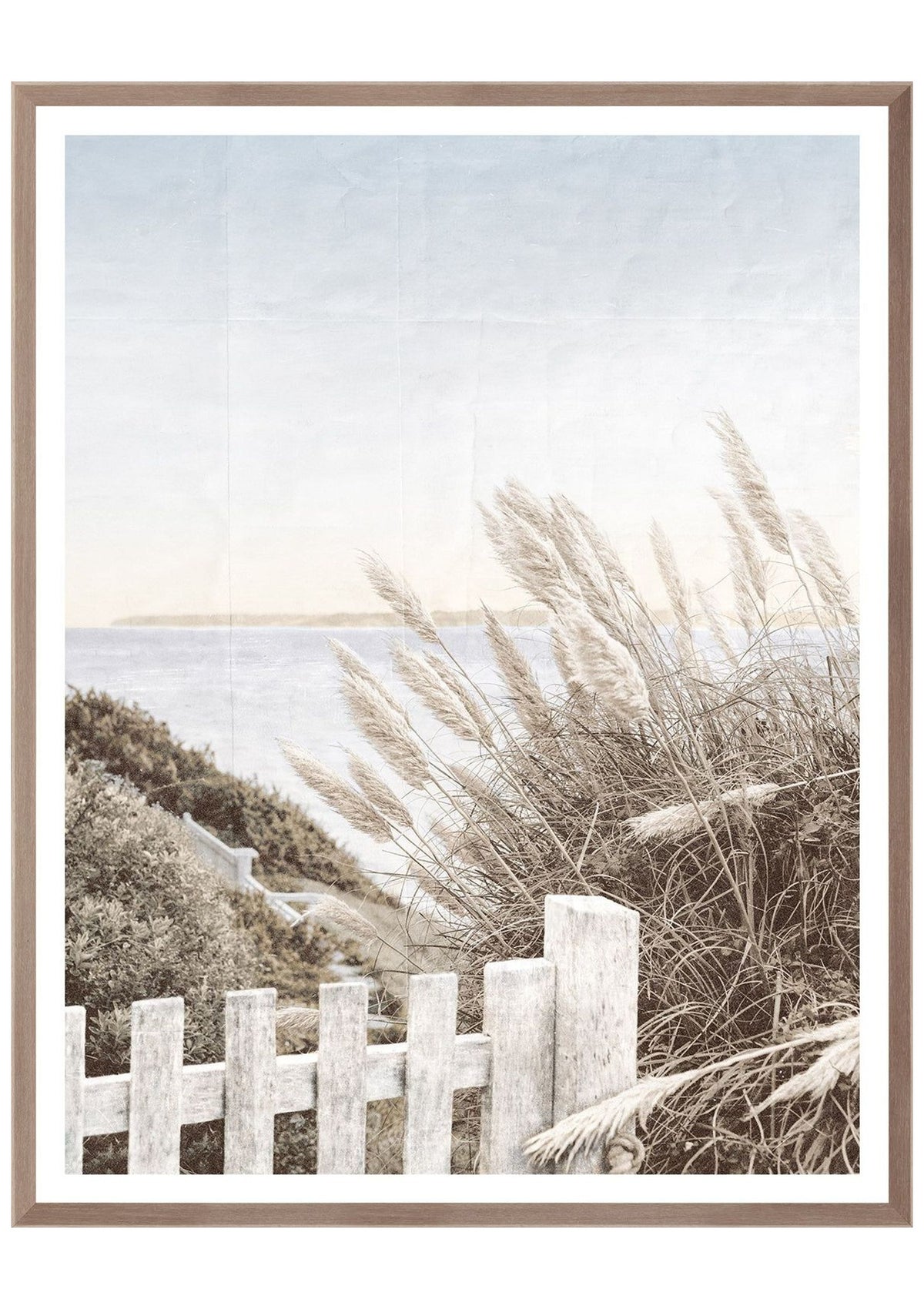 Bay Prospect I – Medium