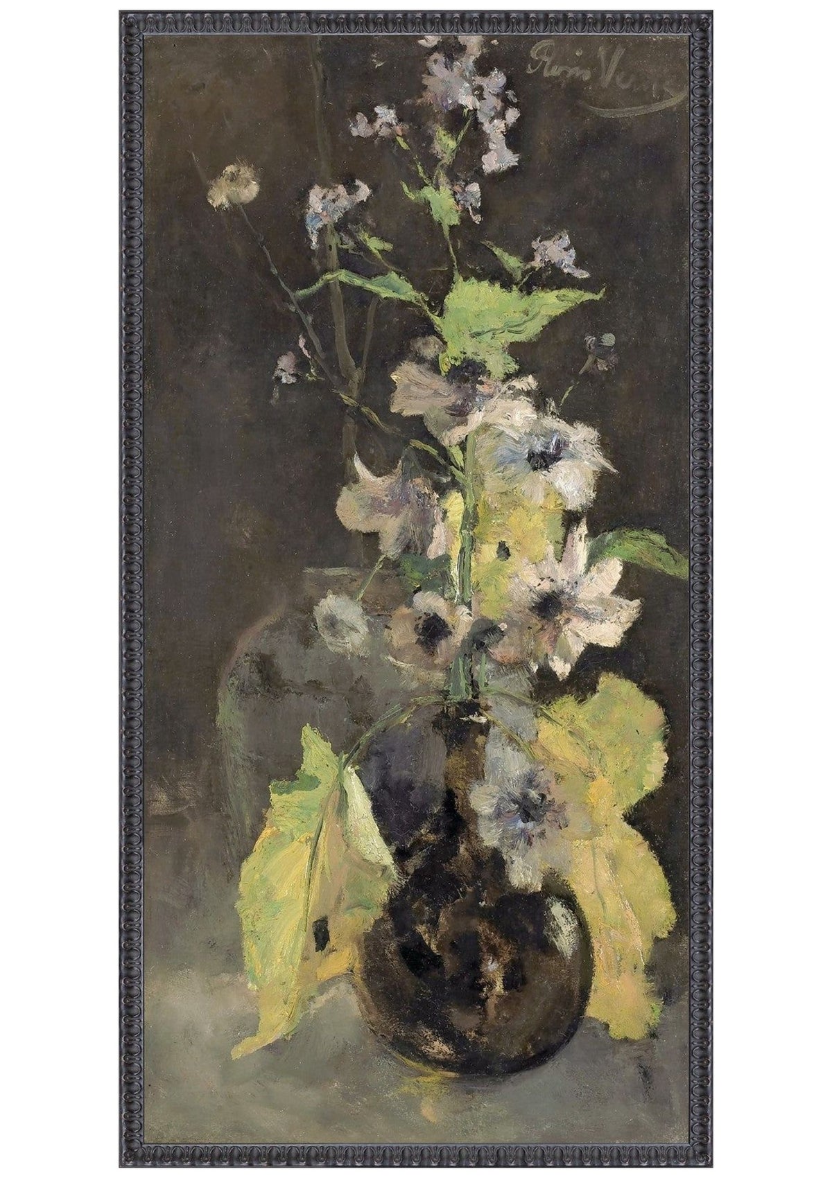 Collection 23 – Anemones C. 1888 – Large