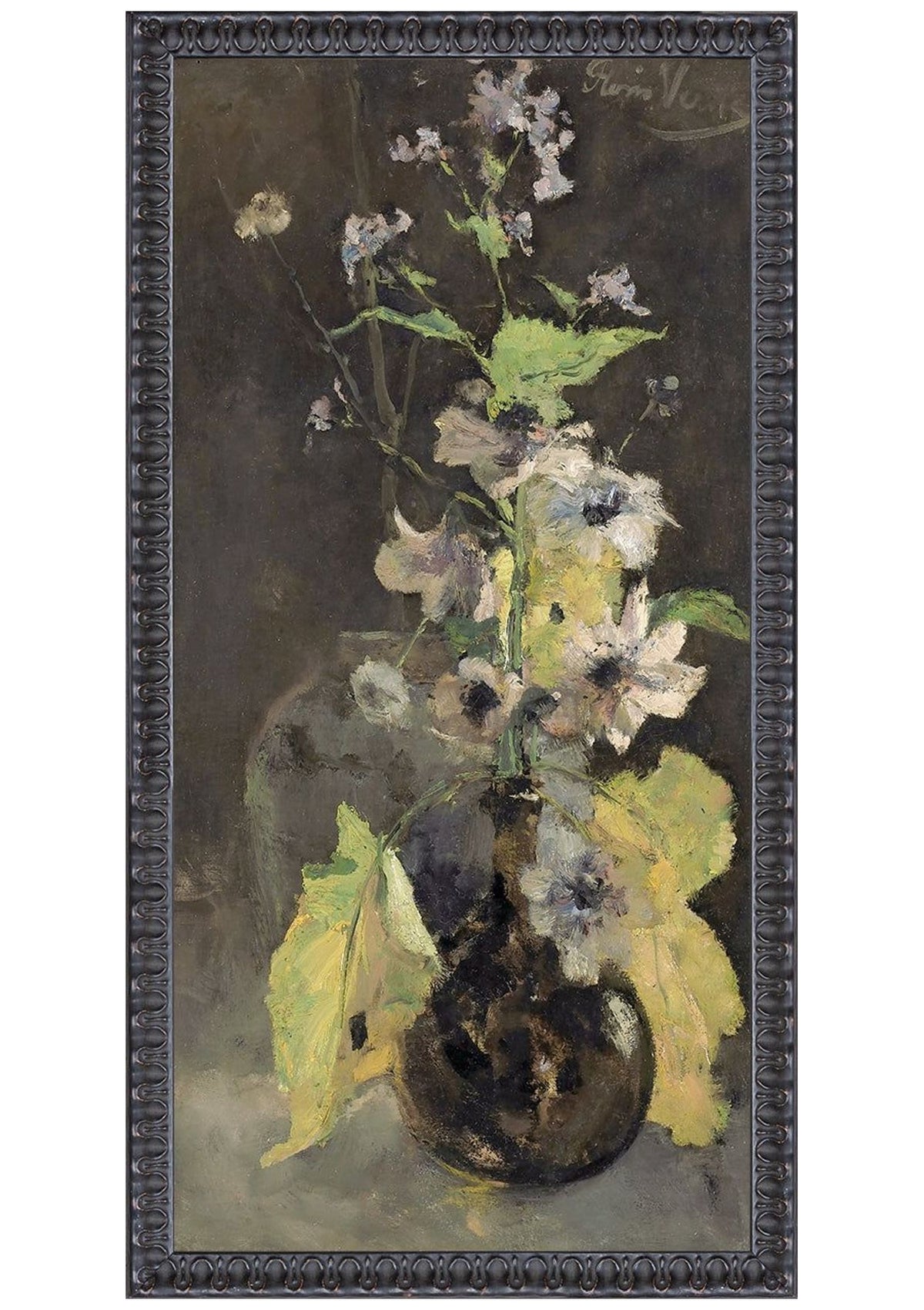 Collection 23 – Anemones C. 1888 – Small