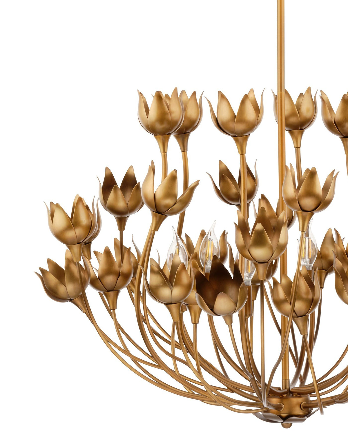 Dogwood Chandelier in Antique Brass