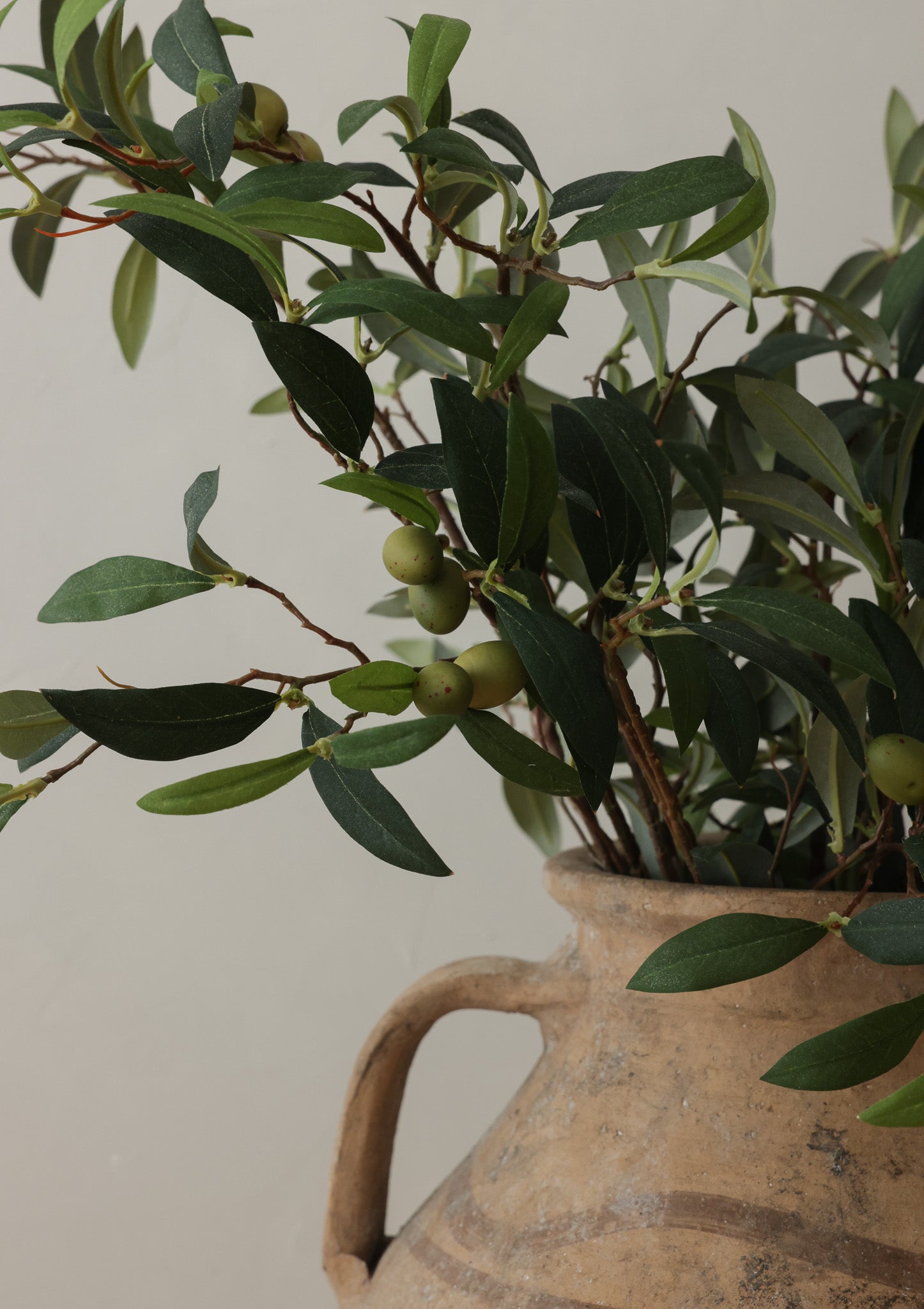 30" Olive Spray