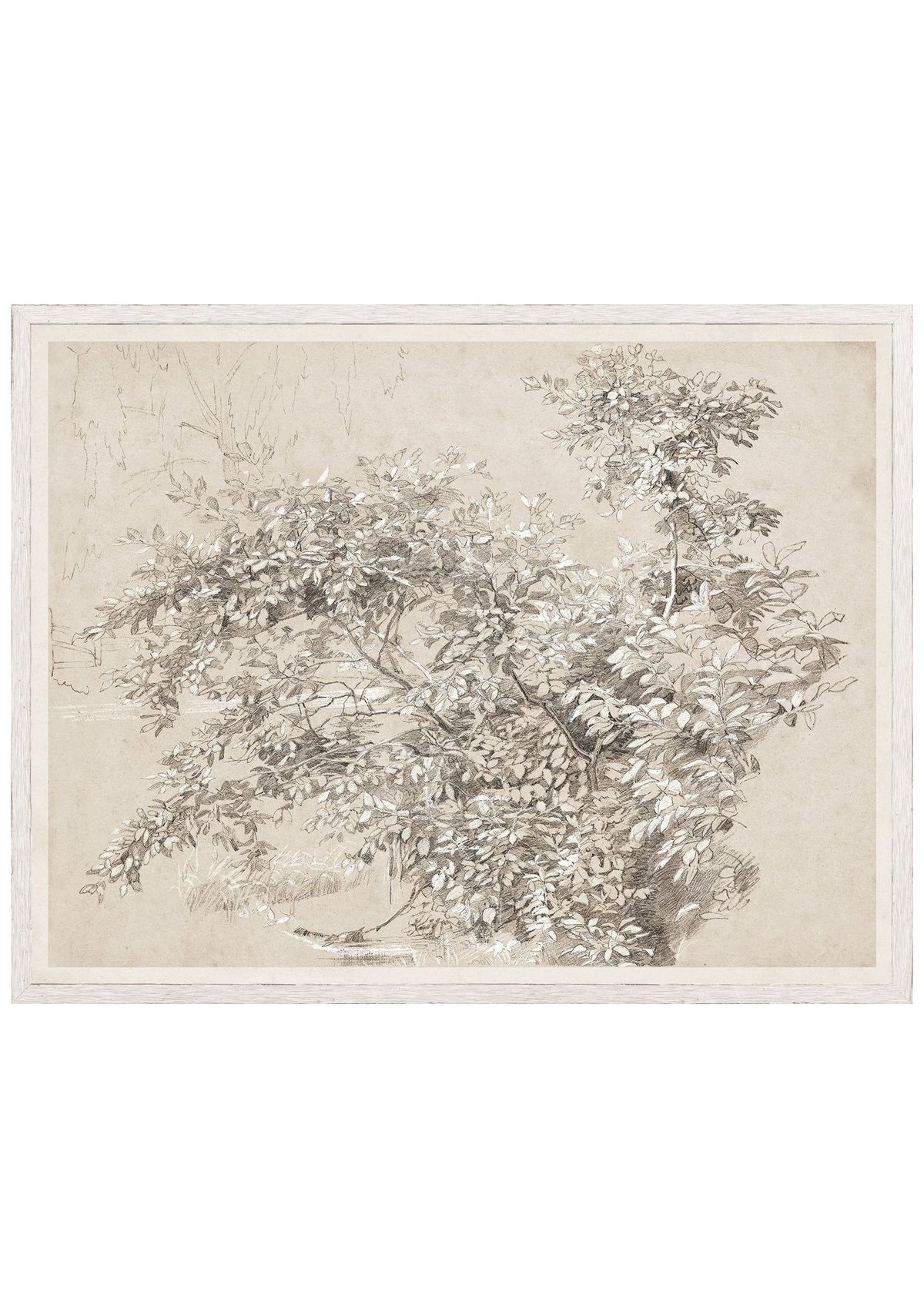 Graphite & Gouache Study C. 1890 – Small