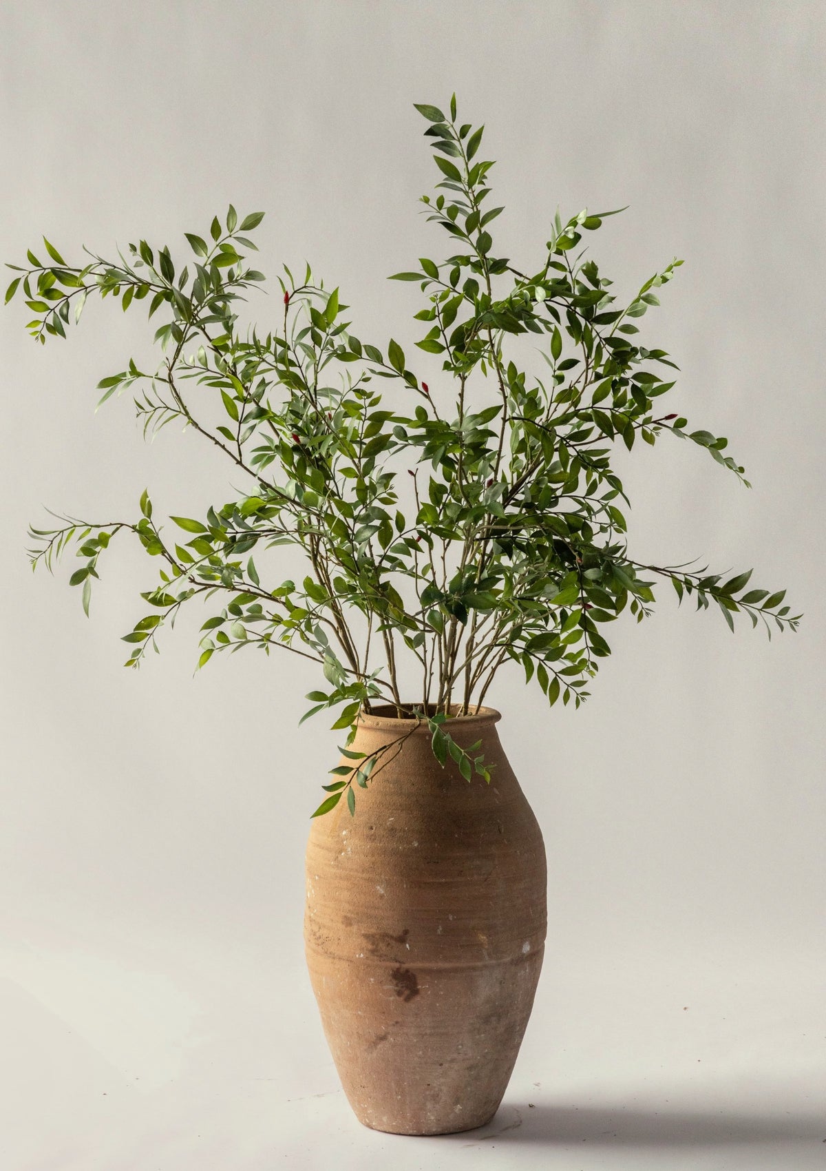 Artificial Broadleaf Podocarpus Leaf Branch