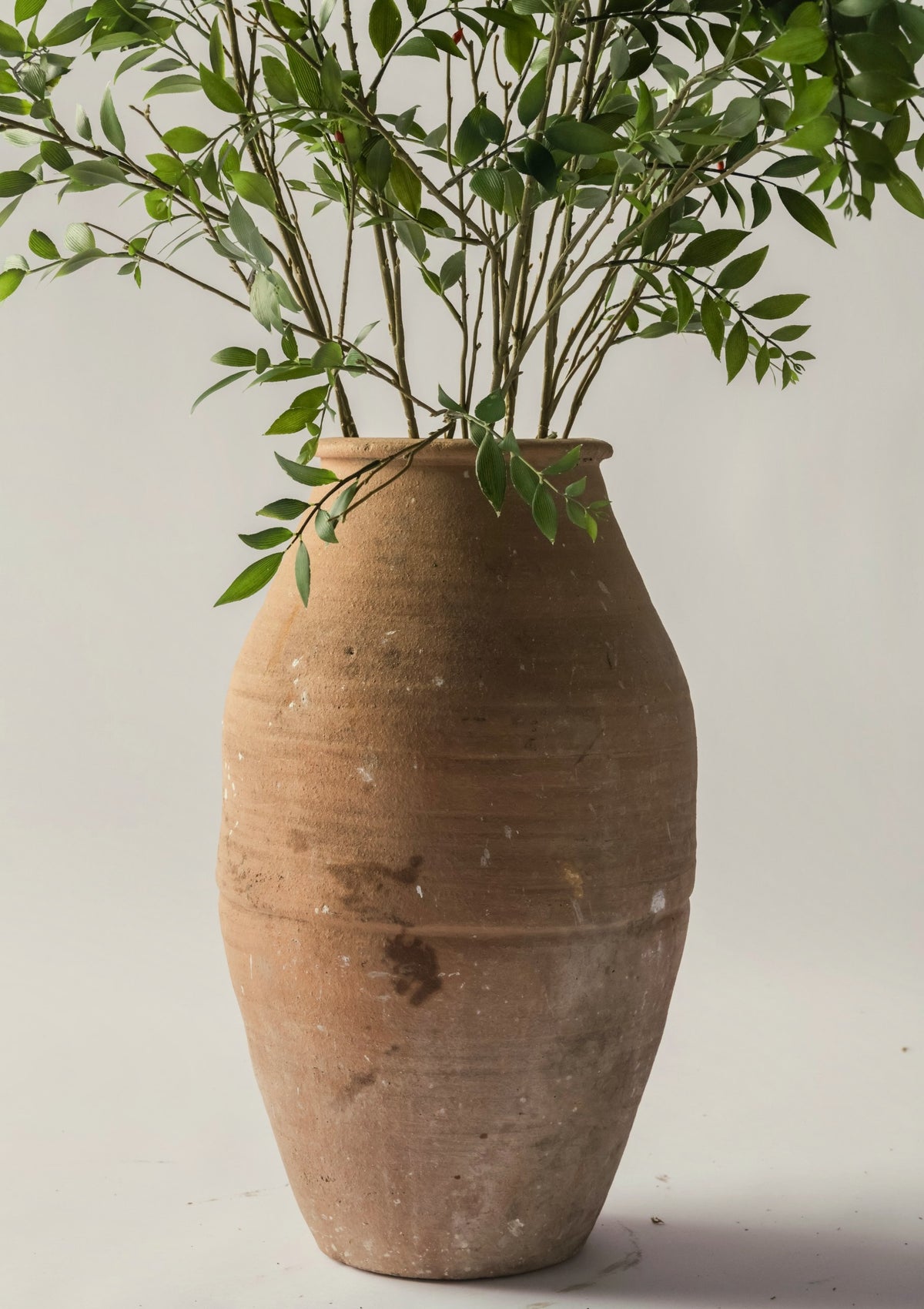 Artificial Broadleaf Podocarpus Leaf Branch