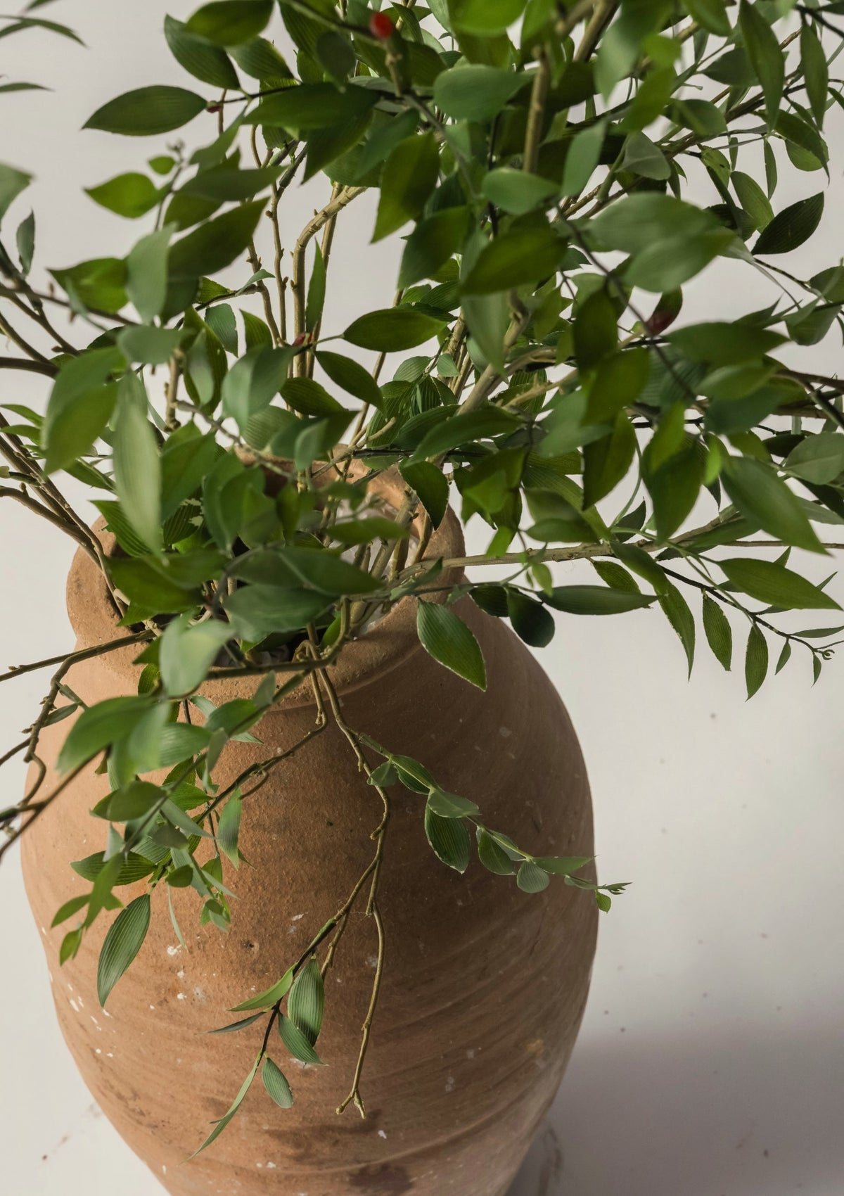 Artificial Broadleaf Podocarpus Leaf Branch
