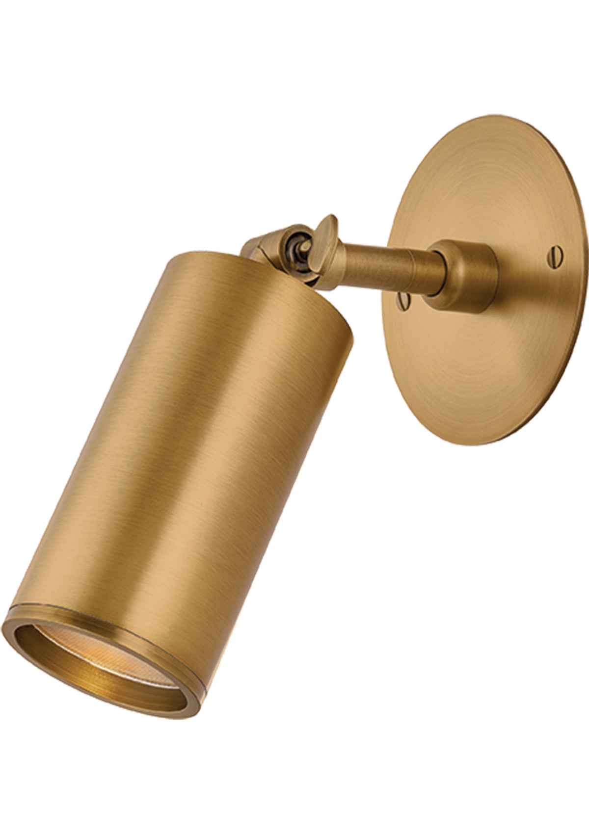 Caleb Wall Sconce in Patina Brass