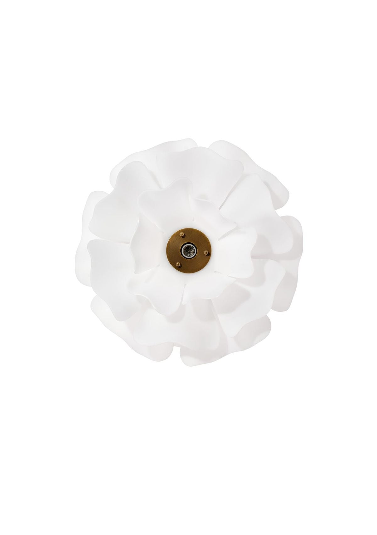 Zinnia Chandelier in Small