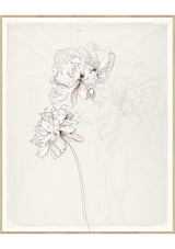 Blush Botanical Sketch