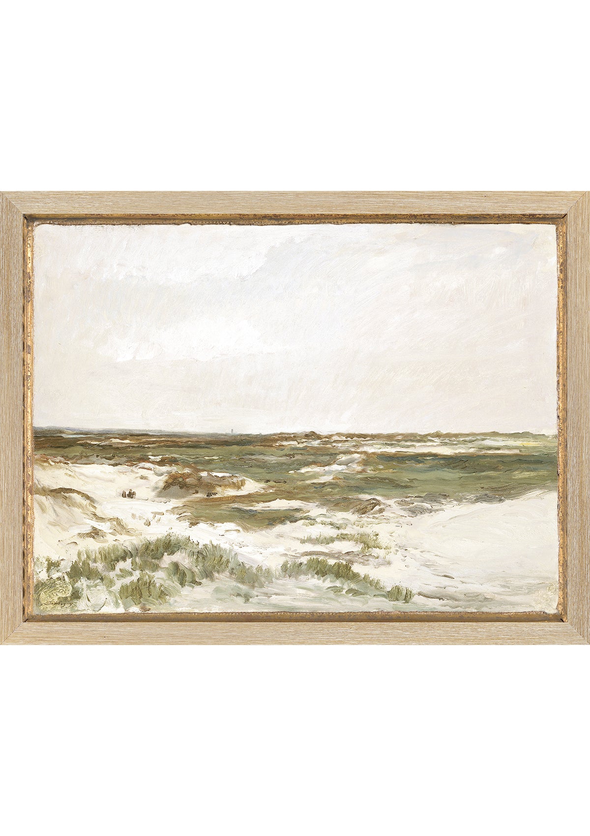 Grassy Dunes at Dusk