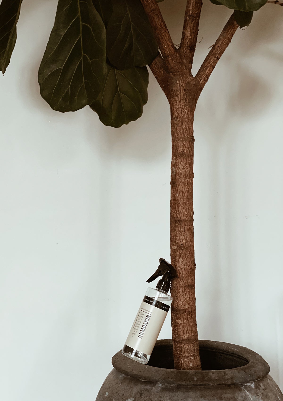 Spray Bottle